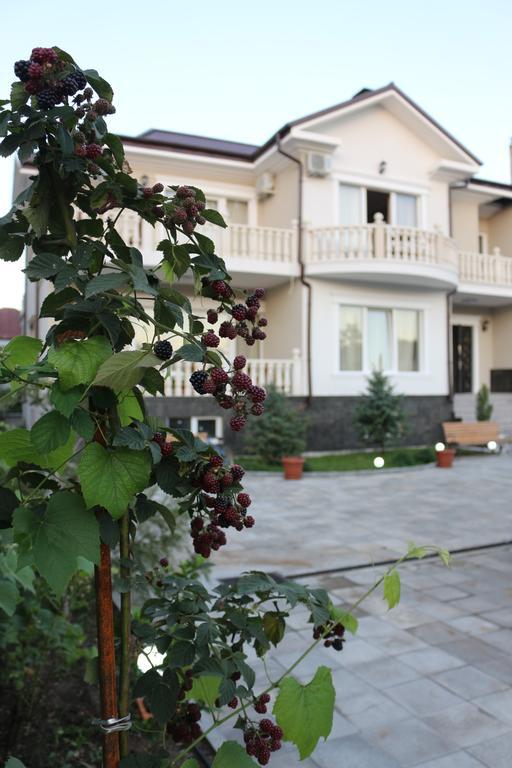 קובולטי Guest House Sofia מראה חיצוני תמונה
